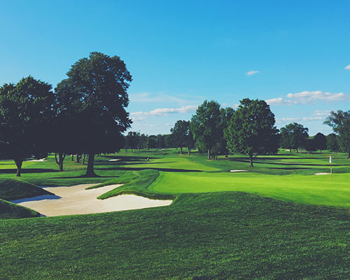 Milton Amenities - Golf Courses